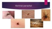 Žmogaus parazitai 4 puslapis