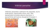 Žmogaus parazitai 5 puslapis