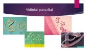 Žmogaus parazitai 6 puslapis