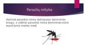 Žmogaus parazitai 7 puslapis