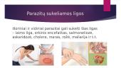 Žmogaus parazitai 8 puslapis