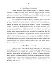 Referatas apie tuberkuliozę 6 puslapis