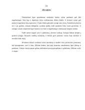 Referatas apie tuberkuliozę 8 puslapis