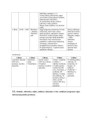 Rekreacinės programos sudarymas 16 puslapis