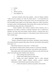 Rekreacinės programos sudarymas 7 puslapis