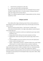 Religija ir jos elementai 4 puslapis