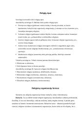 Religija ir jos elementai 5 puslapis