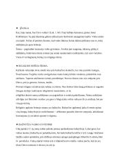 Religijos įtaka ugdant vaikus 2 puslapis