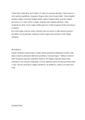 Religijos įtaka ugdant vaikus 4 puslapis