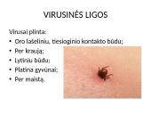 Patogeniniai mikrobai 12 puslapis