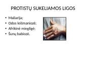 Patogeniniai mikrobai 16 puslapis