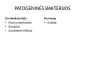 Patogeniniai mikrobai 6 puslapis