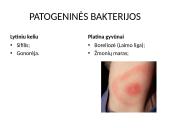Patogeniniai mikrobai 7 puslapis