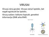 Patogeniniai mikrobai 9 puslapis
