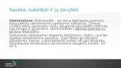 Salmoneliozių epidemiologinė situacija Lietuvoje, profilaktika 2 puslapis