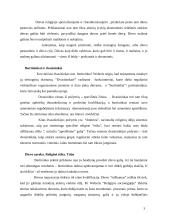 Religinių idėjų įtaka žmonių gyvenimo būdui pagal Weberio "Religijos sociologija" 2 puslapis