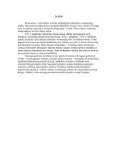 Renesansas bei jo stadijos 2 puslapis