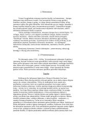 Renesansas bei jo stadijos 3 puslapis