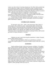 Renesansas bei jo stadijos 4 puslapis