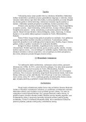 Renesansas bei jo stadijos 5 puslapis