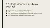 Europos ir Lietuvos didžiosios kunigaikštystes visuomenės formavimasis (iki XV a. pab.). Testas 13 puslapis