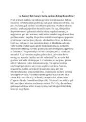 Gyvūnų apsinuodijimas vaistais 4 puslapis