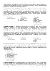 Renesanso teorija 2 puslapis