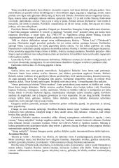 Renesanso teorija 14 puslapis