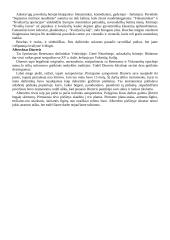 Renesanso teorija 15 puslapis