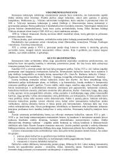 Renesanso teorija 7 puslapis