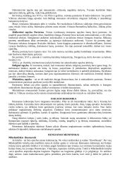 Renesanso teorija 9 puslapis