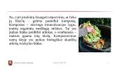 Maisto švaistymas. Organizacijų socialinė atsakomybė 12 puslapis