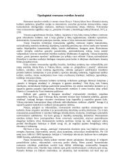 Renesanso estetika 2 puslapis