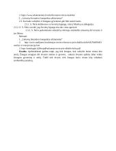 Ar valstybė lemia žmogaus ateitį, ar žmogus lemia valstybės ateitį? Planas 2 puslapis