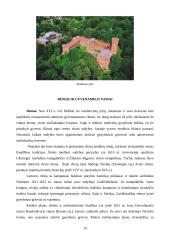 Renesansas - viskas apie Mikelandželą 14 puslapis