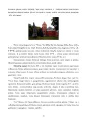 Renesansas - viskas apie Mikelandželą 15 puslapis