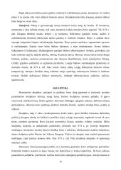 Renesansas - viskas apie Mikelandželą 16 puslapis