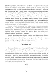 Renesansas - viskas apie Mikelandželą 8 puslapis