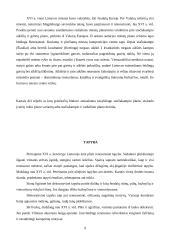 Renesansas - viskas apie Mikelandželą 9 puslapis