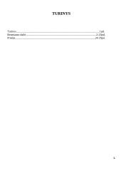 Renesanso dailės bruožai 2 puslapis