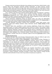 Renesanso dailės bruožai 19 puslapis