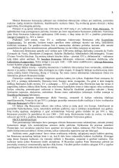 Renesanso dailės bruožai 5 puslapis