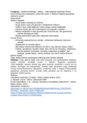 Vaiko paveikslas lietuvių literatūroje. Planas 2 puslapis