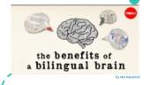 The benefits of a bilingual brain 3 puslapis