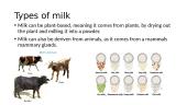 Milk 3 puslapis