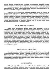 Renesanso kultūra 13 puslapis