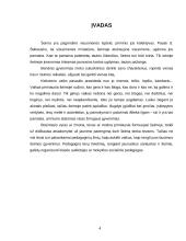 Rengimo šeimos gyvenimui reikšmė 2 puslapis