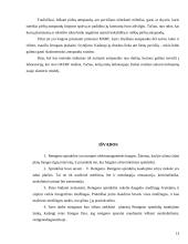 Rentgeno spinduliai, rentgeno diagnostika 13 puslapis