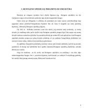 Rentgeno spinduliai, rentgeno diagnostika 4 puslapis