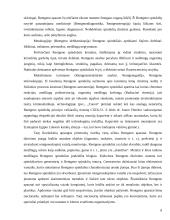 Rentgeno spinduliai, rentgeno diagnostika 8 puslapis